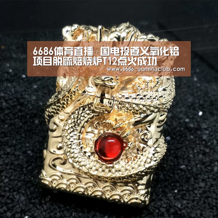 6686体育直播-国电投遵义氧化铝项目脱硫焙烧炉T12点火成功(图3) 6686APP下载