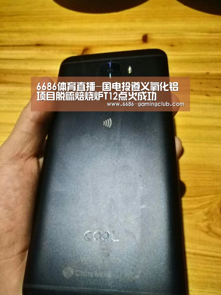 6686体育直播-国电投遵义氧化铝项目脱硫焙烧炉T12点火成功(图2) 6686真人娱乐