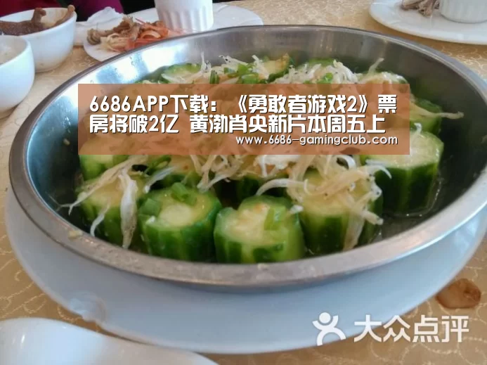 6686体育直播